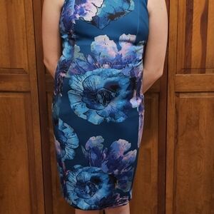 Calvin Klein Women's Floral Print Sleeveless Dress